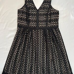 Ann Taylor LOFT black eyelet lace V-neck fit-and-flare dres